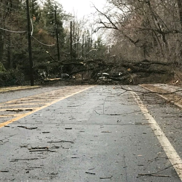 Meet your Posher, Sarah - Picture 1 of 1